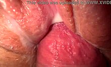 सौतेली बहन की तंग चूत को रफ सेक्स वीडियो में जोर से चोदा जाता है